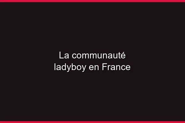 Comprendre la diversité trans
